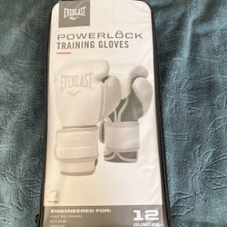 Boxing Gloves w/wraps Included