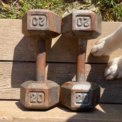 Set Of Two 20 LBS Dumbells