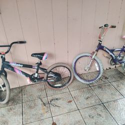 2 Bikes