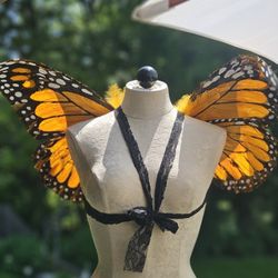 Butterfly Wings W Feathers & Black Lace