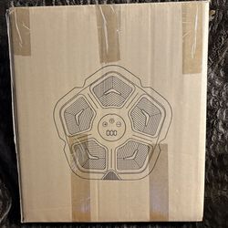 Intelligent Music Boxing Machine 