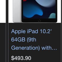 iPad 9th Generation 256gb 