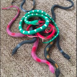 Rubber Snakes In Several Sizes
