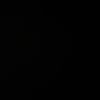 Trpstr_noah