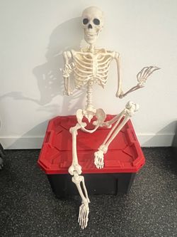Skeleton