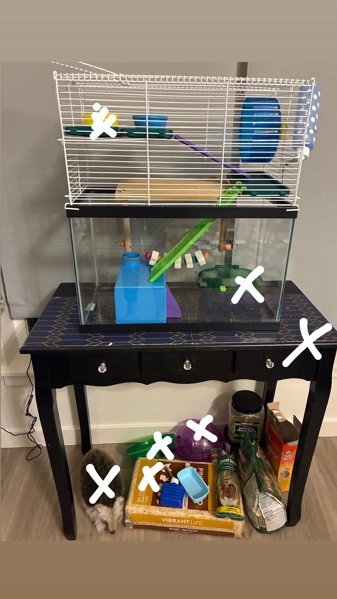 Hamster Aquarium Tank With A Topper Cage And Accessories Food