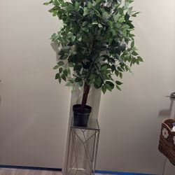 Plant  Artificial With Stand 