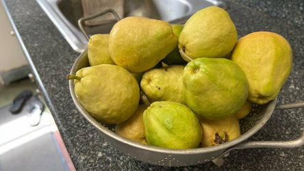 Guavas