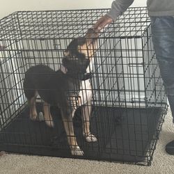 Large Dog Crate - 2 -door Folding