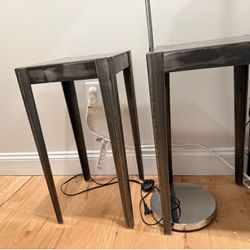 Set of 2 Modern Metal End Tables
