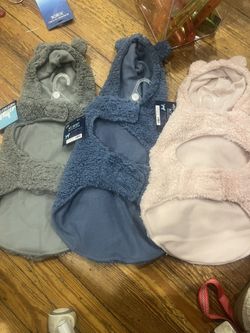 Dog Clothes And Leashes