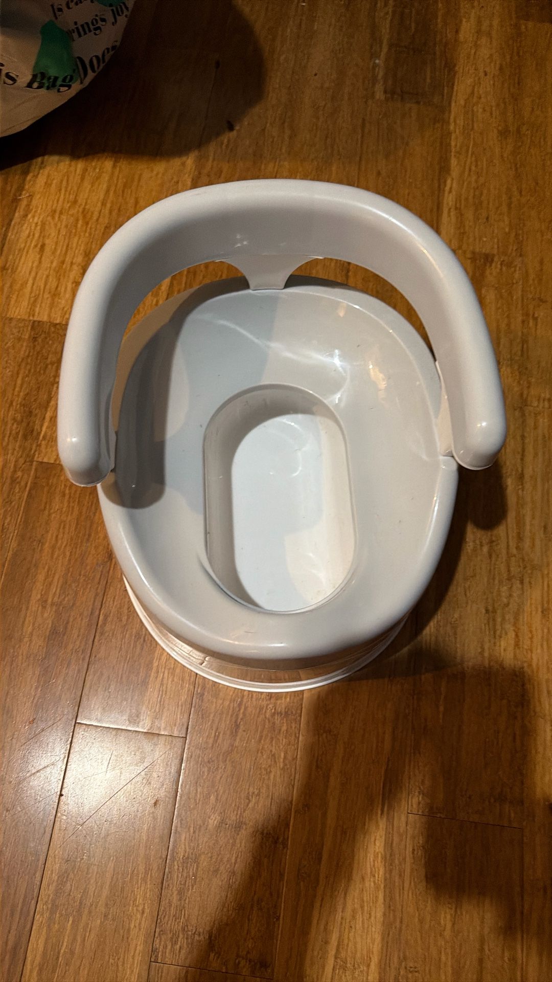 Portable Potty Chair