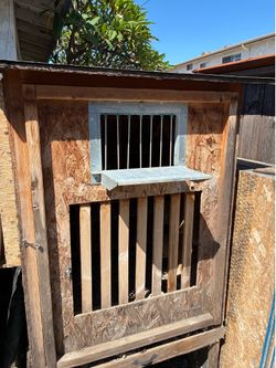 Pigeon kit cages