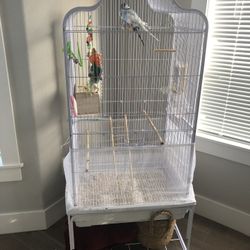 Bird Cage 