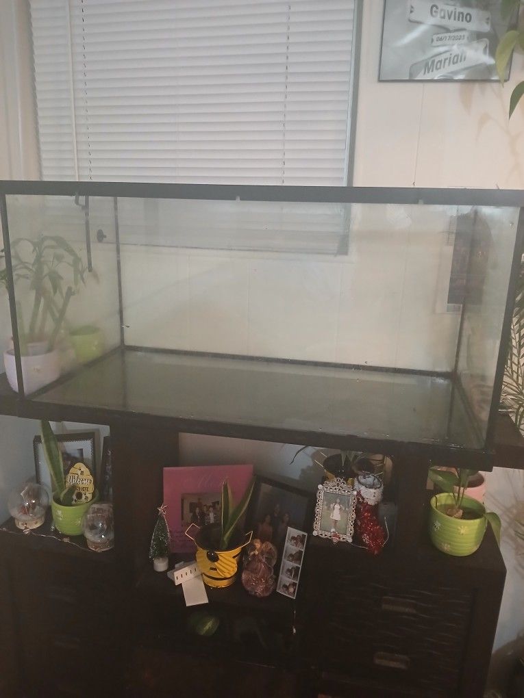 40 Gallon Tank
