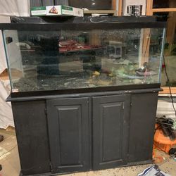 Fish Tanks For Sale 75g And 40g