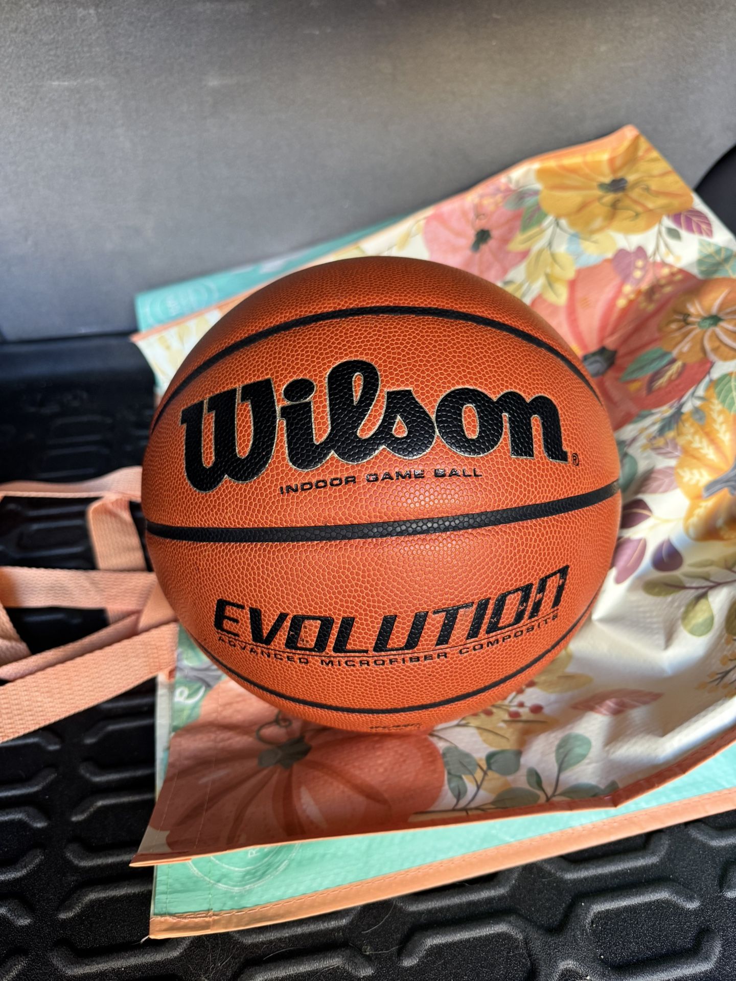 New Wilson Evo Basketball 