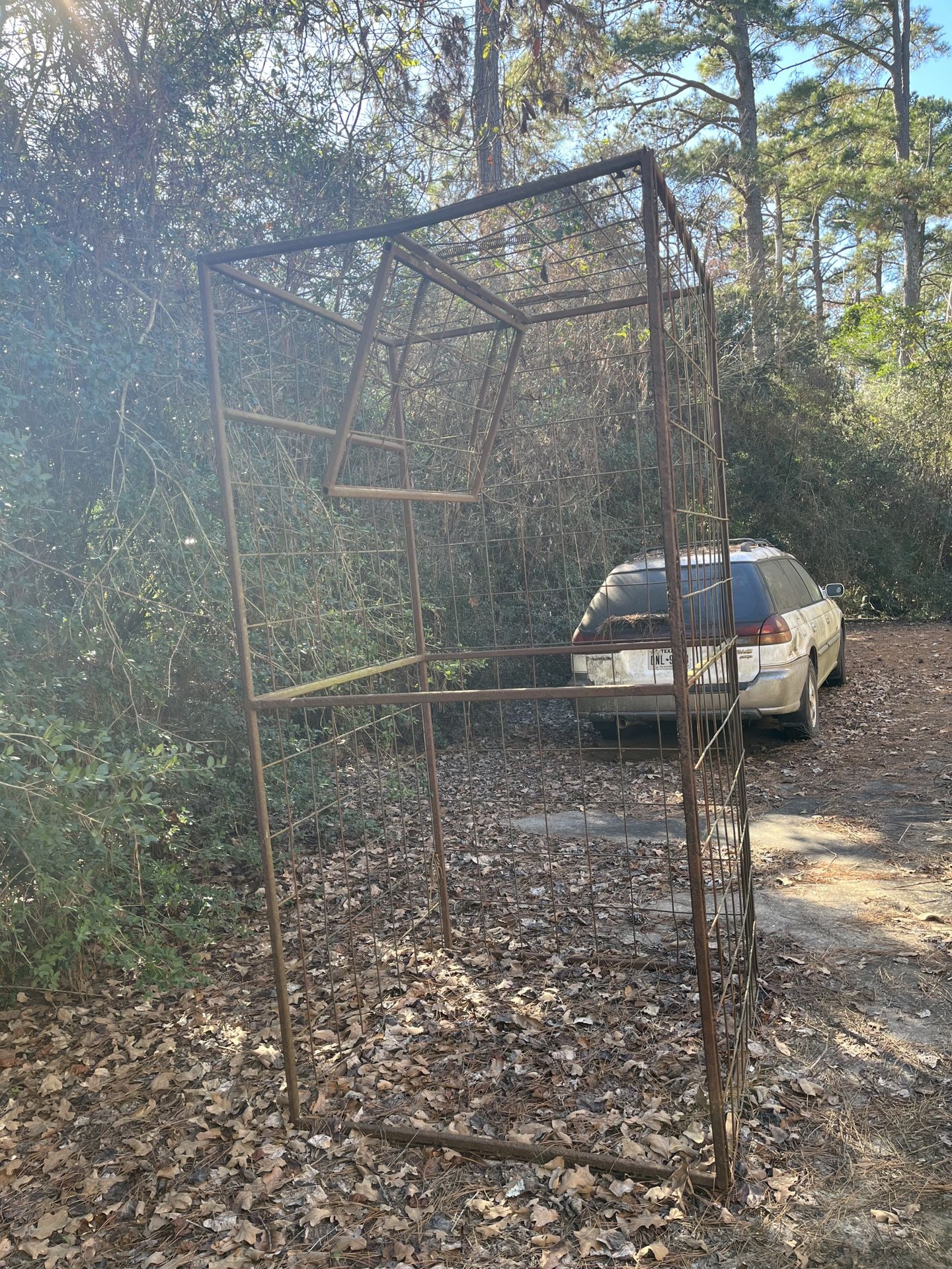 Portable Hog Trap