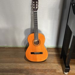 Carlo Rodelli Guitar 