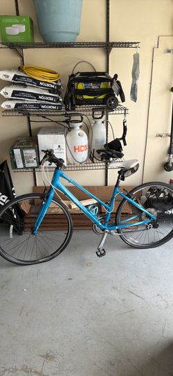 Giant bike size small