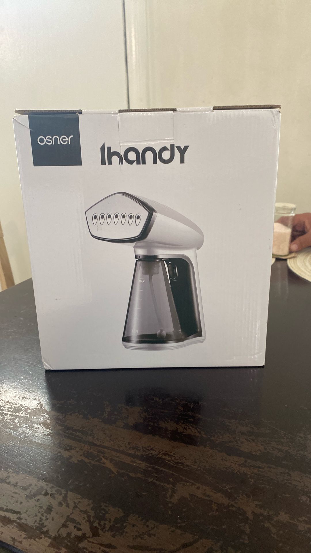 Handy Portable Garment Steamer
