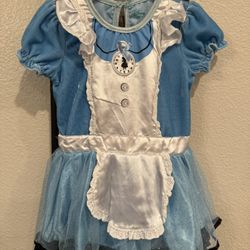 Baby Girl Onesie Dress Size 18-24 Months 