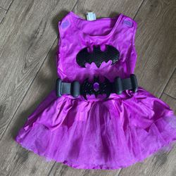 Purple Batgirl Halloween Costume for Girls Batman Small (4-6), Includes Dress