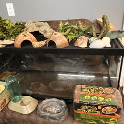 20 Gallon Tank And Hermit Crab Supplies 