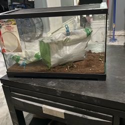 Reptile Habitat Tank