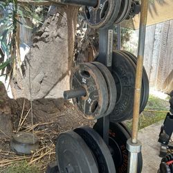 Olympics bumper and non bumper plates