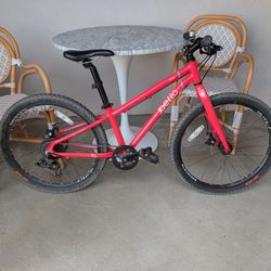 2021 Pello Reyes 24"