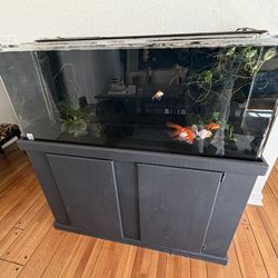 75 Gallon Tank + Stand + Canister Filter