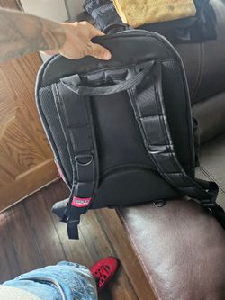 Eclecticion backpack