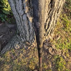 Pro Style "Big Barrell" Wood Bat ( SEE PICS) LOCATED IN GLENDORA.  SEE MY PAGE FOR OTHER BASEBALL EQUIPMENT FOR SALE "CHEAP "