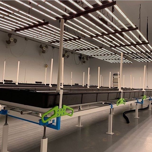 Grow Equipment 