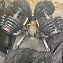Bowflex SelectTech1090 Adjustable Dumbbells (Pair) With Stand