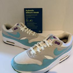 Nike Air Max 1 Anniversary  8M