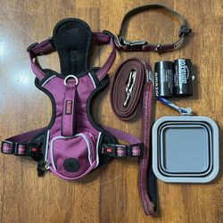 Kong Dog Harness with Waste Bag Carrier- Explorer Collar and Leash - Collapsible Water Holder 