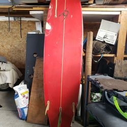 Paddle Board (SUP) or Surf Board
