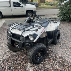 Kawasaki Brute Force 300