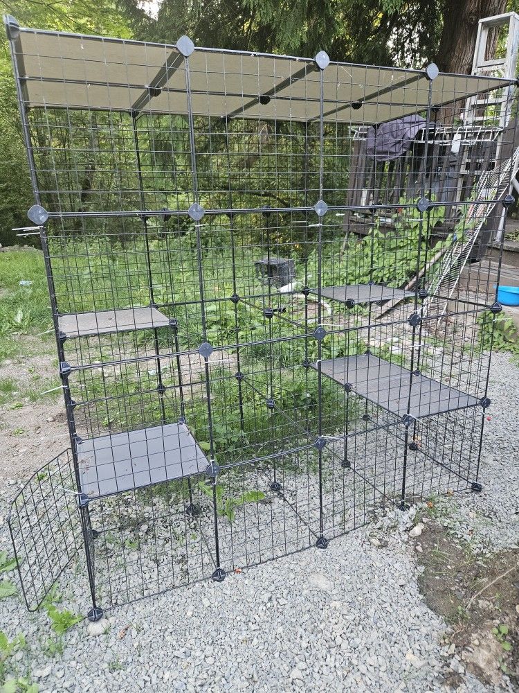 Catio (41Lx41Wx55H)