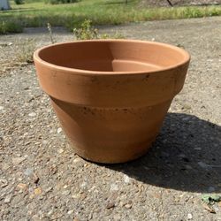 Terracotta Pot Planter House Plant 