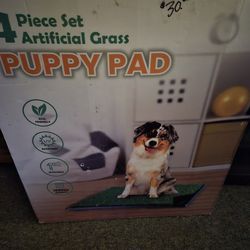 Washable Puppy Tray/pad
