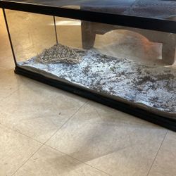 Reptile 40 Gal Tank
