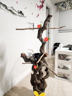 Bird Stand