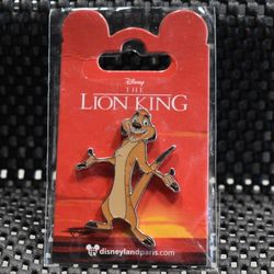 Disney Lion King Timon Paris Pin 