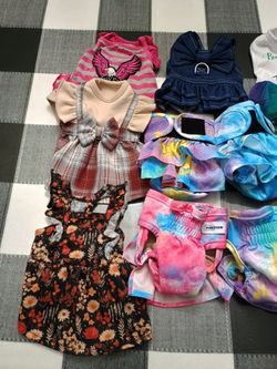 Extra Small Doggy Diapers Plus Dresses