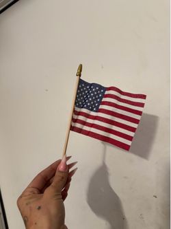 America hand held flag USA flag veterans military servicemen 4th of July