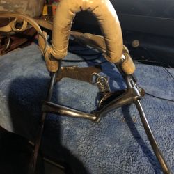 Horse bridals