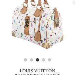 Real Louis Vuitton Bag Multicolor Speedy